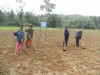 Chuyển đổi cơ cấu cây trồng ở Phước Sơn: Cách chuyển hiệu quả